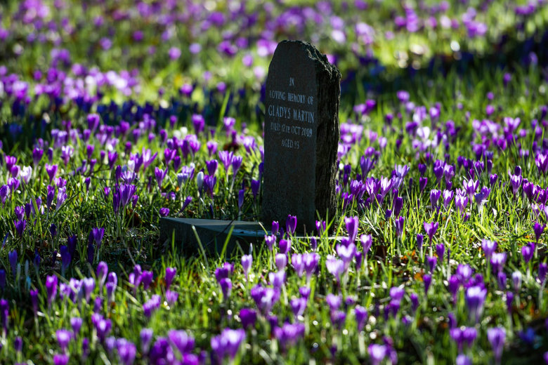 Natürliche Urnengrabgestaltung mit Krokus-Blumen